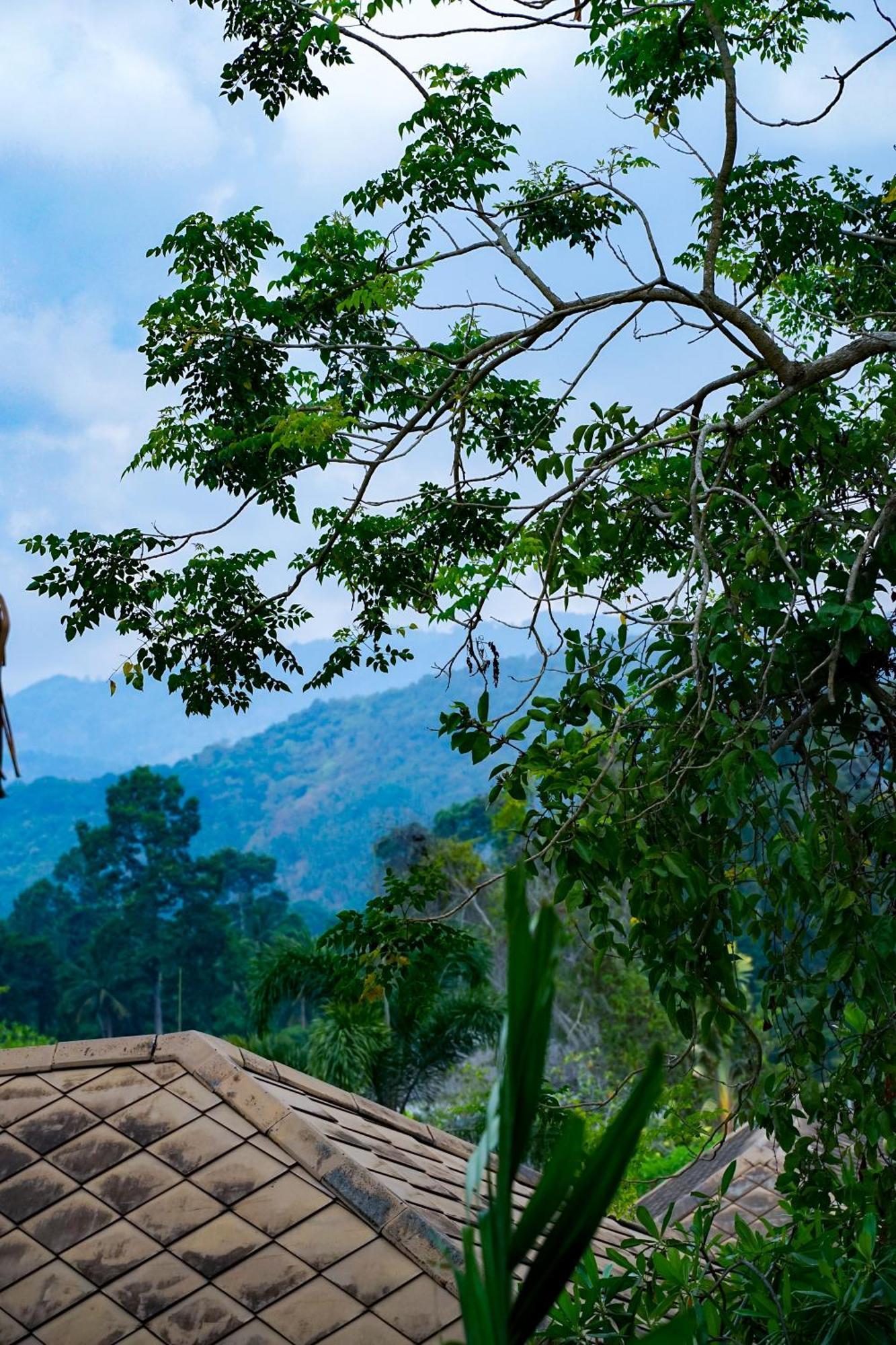Large 4 Bed Villa Short Walk To Maenam Beach Mae Nam Exterior foto